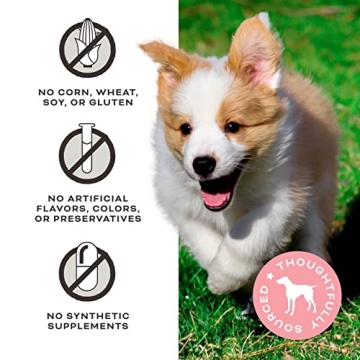 Primal Freeze Dried Dog Treats with Probiotics for Dogs