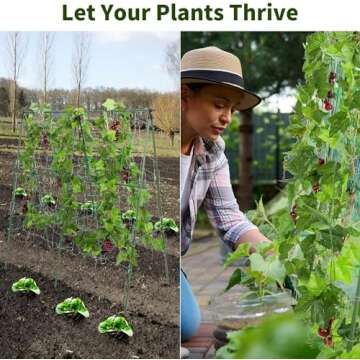 KASZOO 48”x 48” Foldable Garden Cucumber Trellis, A-Frame Plant Grow Support Set, A-Frame Metal Trellis with Garden Netting and Clip, Climbing Trellis for Climbing Plant Fruits/Flowers/Vegetables