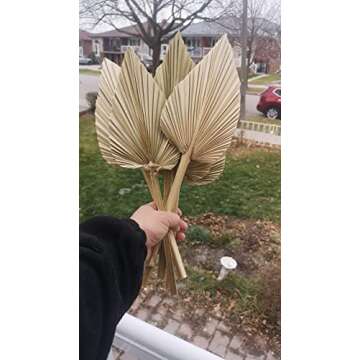 Misa Retail Dried Palm Leaves - Boho Style Decor Essentials