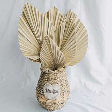 Misa Retail Dried Palm Leaves - Boho Style Decor Essentials