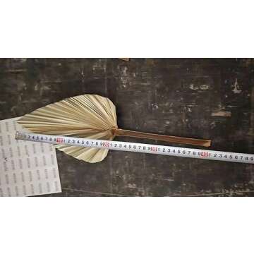 Misa Retail Dried Palm Leaves - Boho Style Decor Essentials