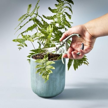 Stylish Modern Sprout Pruning Shears for Garden & Herbs