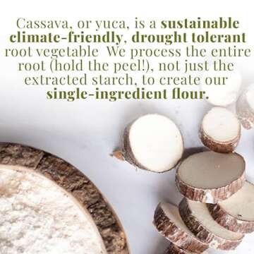 Organic Cassava Flour for Gluten-Free Baking