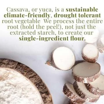 Organic Cassava Flour for Gluten-Free Baking