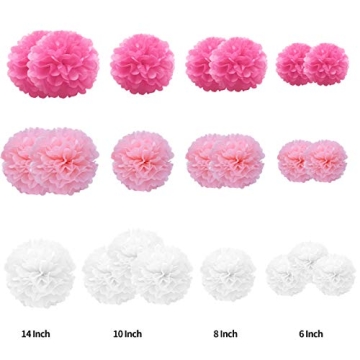 Tissue Paper Pompoms Set of 22 in Elegant Colors