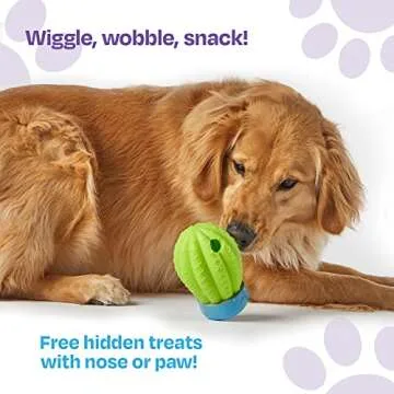 Brightkins Cactus Surprise Treat Dispenser - Treat Dog Toys, Treat Dispenser for Dogs, Dog Birthday Toy for All Breeds Medium