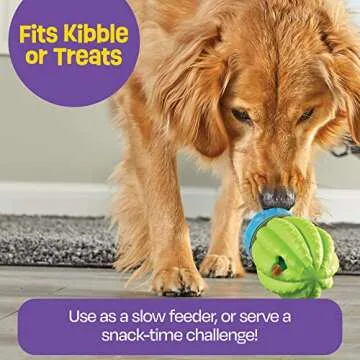 Brightkins Cactus Surprise Treat Dispenser - Treat Dog Toys, Treat Dispenser for Dogs, Dog Birthday Toy for All Breeds Medium