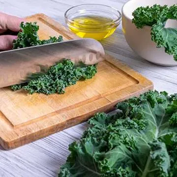 Organic Kale Seeds - 500 USDA Organic, Non-GMO Seeds