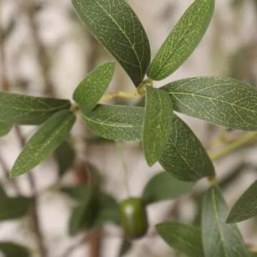 Aritizone Artificial Olive Tree 7FT Tall Fake Olive Tree with Adjustale Branches Artificial Tree for Modern Home Office Living Room Floor Decor Indoor (7FT)