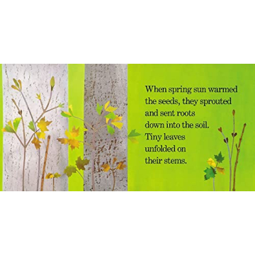 Enchanting Childrens Book Red Leaf Yellow Leaf for Kids