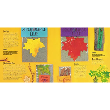 Enchanting Childrens Book Red Leaf Yellow Leaf for Kids