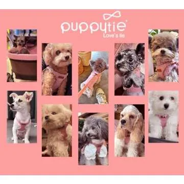 Puppytie No Pull Dog Harness with Multifunction Dog Leash,Soft Adjustable No Choke Escape Proof Pet Harness Vest for Medium Dogs or Large Dogs,Pink,M