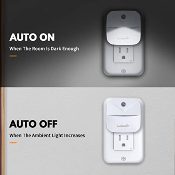LuxLumin LED Night Light with Auto Sensor - 6 Pack