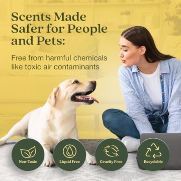 Eco-Friendly Lemon Leaf & Thyme Car Air Freshener