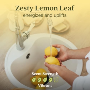 Eco-Friendly Lemon Leaf & Thyme Car Air Freshener