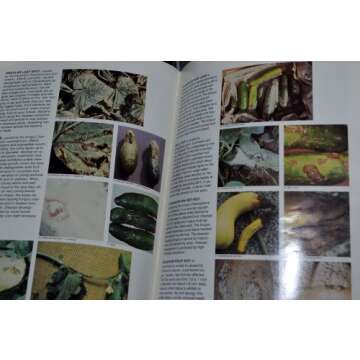 Identifying Diseases of Vegetables