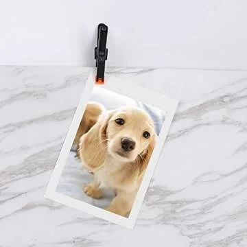 10 Pack Durable Spring Clamps for Crafts and Home Projects