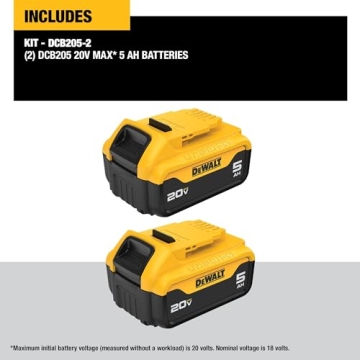 DEWALT 20V MAX 5 Ah Lithium Ion Battery 2-Pack