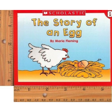 60 Scholastic Easy Leveled Readers for Early Readers