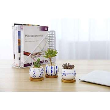 T4U Ceramic Succulent Planter Set of 3 for Indoor Decoration