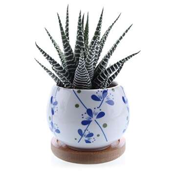 T4U Ceramic Succulent Planter Set of 3 for Indoor Decoration
