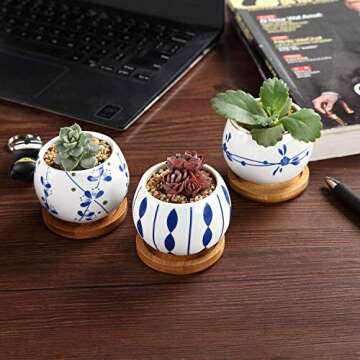 T4U Ceramic Succulent Planter Set of 3 for Indoor Decoration