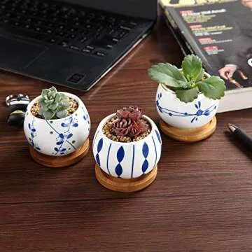 T4U Ceramic Succulent Planter Set of 3 for Indoor Decoration