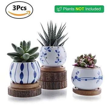 T4U Ceramic Succulent Planter Set of 3 for Indoor Decoration