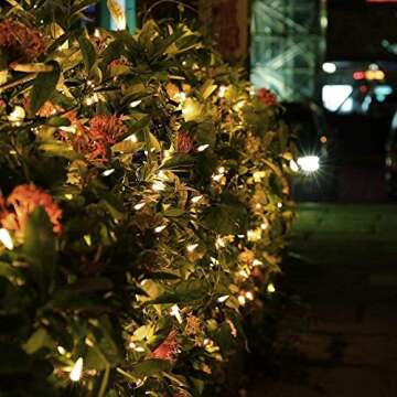 MAGOTAN Christmas Lights 18ft Battery Operated String Lights