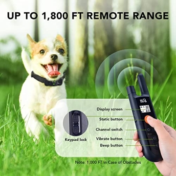 DOG CARE Dog Training Collar with Remote for All Dogs