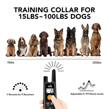DOG CARE Dog Training Collar with Remote for All Dogs