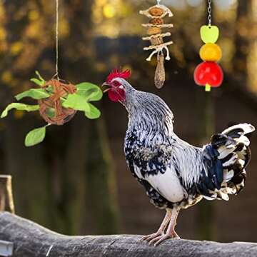 Lanermoon 6pcs Chicken Toys for Hens,Chicken Swing,Chick Xylophone PeckingToys,Chicken Mirror,Parrot Nut Fruit Chewing Toys,Bird Veggies Skewer Feeder Ball for Pet Coop Accessories