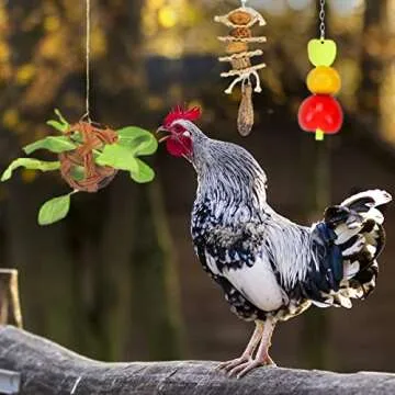 Lanermoon Chicken Toys 6pc Set for Hens Fun