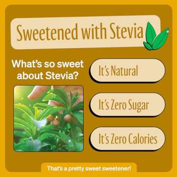 Zevia Zero Sugar Soda, Cream Soda, 12 oz Cans (24-Pack) – Naturally Sweetened, Zero Calorie Sugar Free Soda - Non-GMO Project Verified, Gluten-Free, Vegan