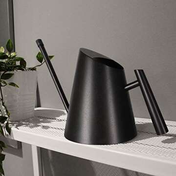 Cesun Black Watering Can Indoor Plants - Small Stainless Water Can with Long Straight Spout, Metal Watering Pot for House Bonsai & Flowers, Matte Black (30 oz)