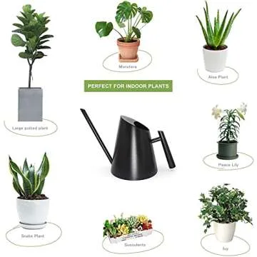 Cesun Black Watering Can Indoor Plants - Small Stainless Water Can with Long Straight Spout, Metal Watering Pot for House Bonsai & Flowers, Matte Black (30 oz)