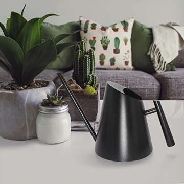 Cesun Black Watering Can Indoor Plants - Small Stainless Water Can with Long Straight Spout, Metal Watering Pot for House Bonsai & Flowers, Matte Black (30 oz)