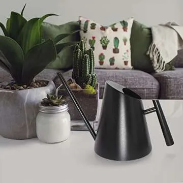 Cesun Black Watering Can Indoor Plants - Small Stainless Water Can with Long Straight Spout, Metal Watering Pot for House Bonsai & Flowers, Matte Black (30 oz)
