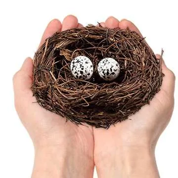 Easter Birds Nest Decorating Set for Crafts and Decor