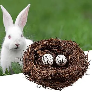 Easter Birds Nest Decorating Set for Crafts and Decor