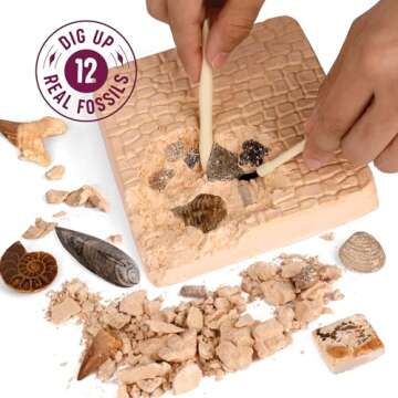 Real Fossil Dig Kit for Kids - Mega Science Kits for Boys & Girls Age 8-12 - Birthday Easter Gift Id...