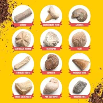 Real Fossil Dig Kit for Kids - Mega Science Kits for Boys & Girls Age 8-12 - Birthday Easter Gift Ideas for 8, 9, 10, 11, 12 Year Old Boy or Girl - Fossils Digging STEM Toys for Ages 8-13