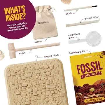 Real Fossil Dig Kit for Kids - Mega Science Kits for Boys & Girls Age 8-12 - Birthday Easter Gift Ideas for 8, 9, 10, 11, 12 Year Old Boy or Girl - Fossils Digging STEM Toys for Ages 8-13