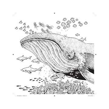 Colormorphia Adult Coloring Book by Kerby Rosanes