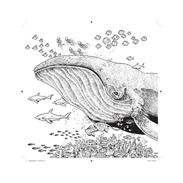 Colormorphia Adult Coloring Book by Kerby Rosanes