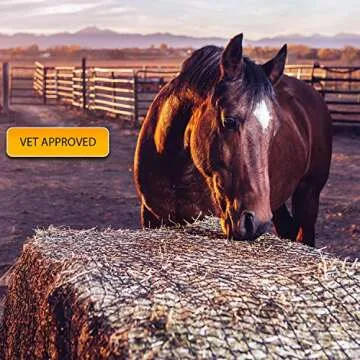 Texas Haynet - Durable Round Bale Feeder for Horses