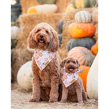 Remy+Roo Fall Dog Bandanas 4 Pack - Amber Set, Premium Durable Polyester Fabric, Patented Curved Des...