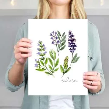 Kitchen Herbs Art Prints - Botanical Prints - (Set of 6) - Unframed - 8x10s | Kitchen Wall Décor | Kitchen Décor for Adding a Touch of Nature and Freshness to Your Kitchen Décor | Botanical Wall Art