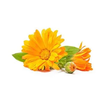 Birds & Bees Teas - Organic Herbal Sitz Bath Soak & Bath Salts - 8 Sachets