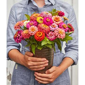 Burpee Cut & Come Again Zinnia Seeds 175 seeds